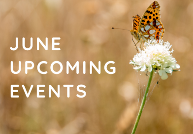 June & July events in Colorado Springs